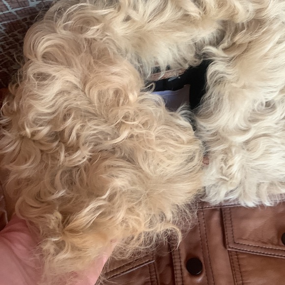 MNG leather collection Jacket size M NWOT - Picture 3 of 10